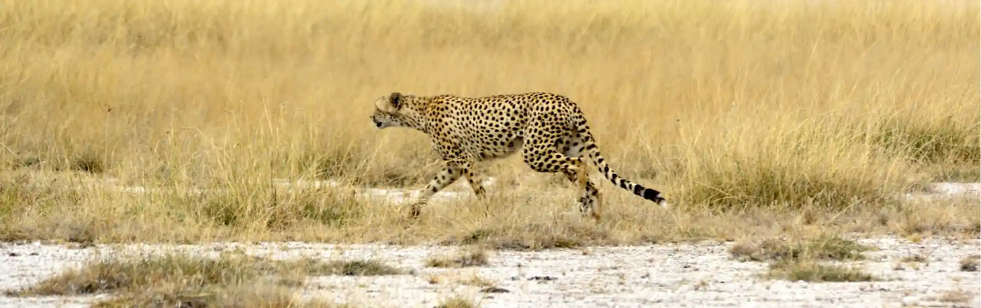 Amboseli National Park Tour ETHOEA-09